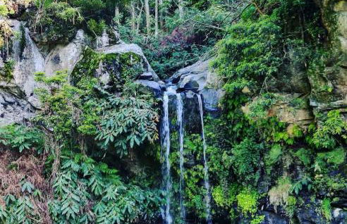 H2O - próximo das melhores praias da costa sul - Photo 38
