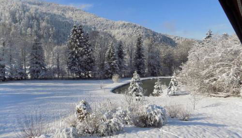 CHALET DES CHARBONNIERS AVEC ETANG - 5 chambres - - Foto 5