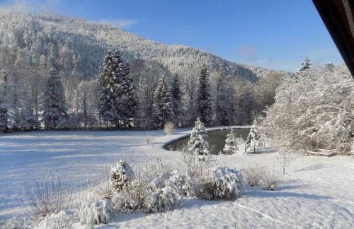 CHALET DES CHARBONNIERS AVEC ETANG - 5 chambres - - Foto 5