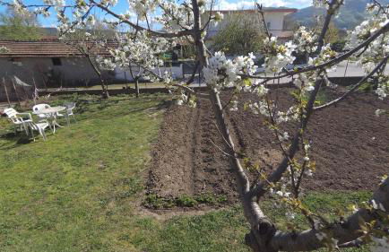 Fofi's Place - Photo 27