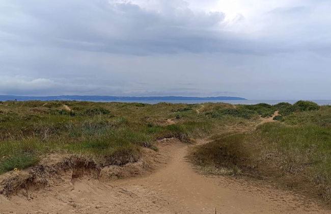 4 Star Holiday Home in Mellbystrand - Foto 16