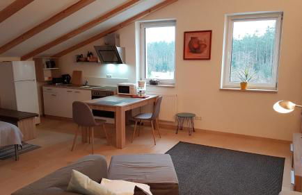 Apartment Business - Foto 1