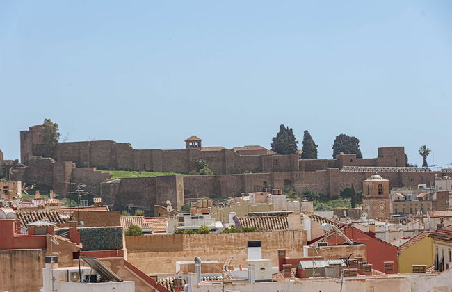 Solaga - Chinchilla - Foto 32