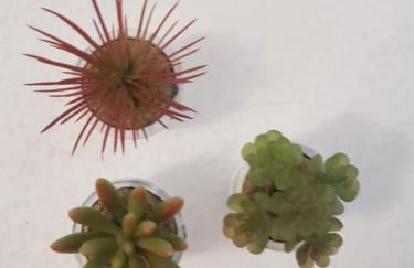 I diamanti - Foto 33