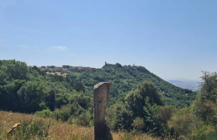 Rocca Casa - Foto 19