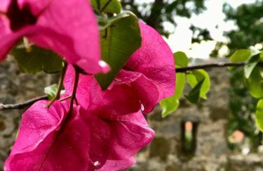 Sideroporta castle Náfpaktos - Foto 58