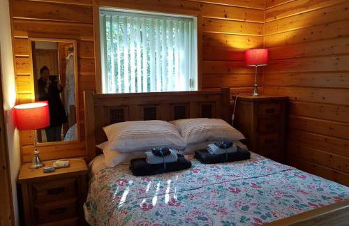 Luxurious lodge, Woodlands View, Hot tub at Rudyard Lake, couples or small family - Photo 18