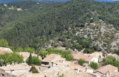Maison sur la colline du Barroux - Foto 51