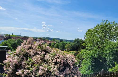 Ferienwohnung Kraichgaublick - Foto 32