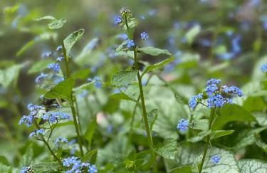 Mountain Vistas House and Acreage - Foto 77