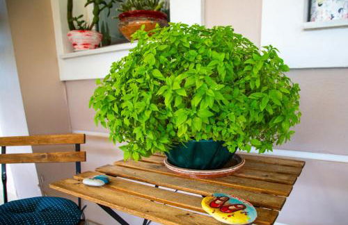 Luxury apt near the airport N2 - Photo 21