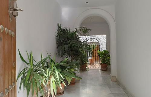 Sherryflat Caracuel - Foto 36