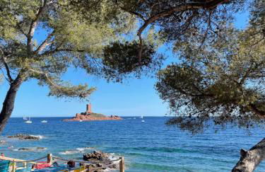 Les Oliviers de l'Esterel - Foto 25