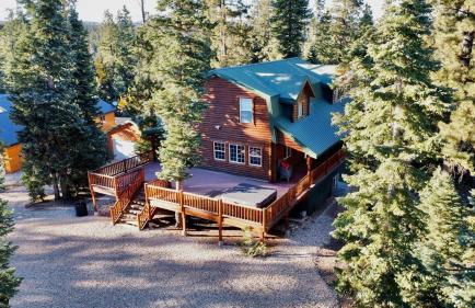 Backwoods Bonanza - Big Cabin With Hot Tub! - Foto 53