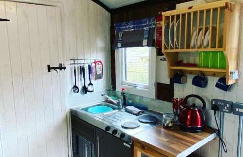 Luxury cosy carriage with electric private hot tub - Photo 4