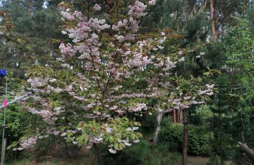 Domek Modern Barn- 3 tylko 800m od Suntago RANCZO GOLD MANIA - Photo 19