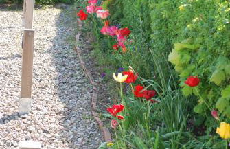 Chalet - Schalom - Foto 61