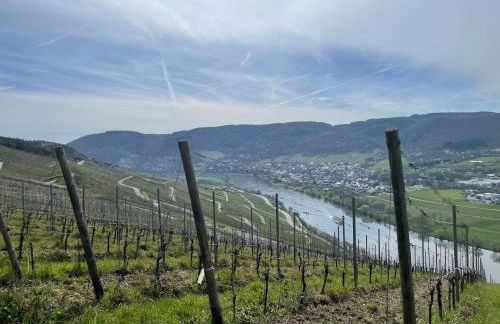 Moderne Ferienwohnung Zur Schlosshöhe - Foto 51