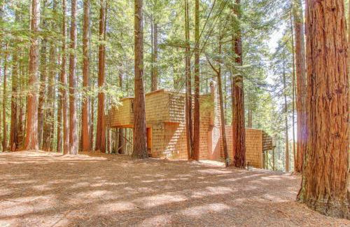 The Redwood House - Photo 30