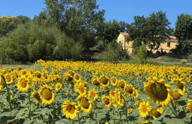 Agriturismo Fattoria Del Colle By Enrico - Foto 31