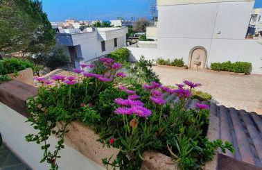 VILLA MIRABELLE , Torresangiovanni Marina di Ugento (LE) - Foto 29