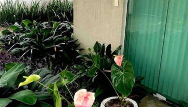 Flat completo próximo ao INPA - Foto 4