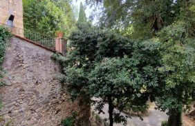 Vicolo d'Este - Photo 9