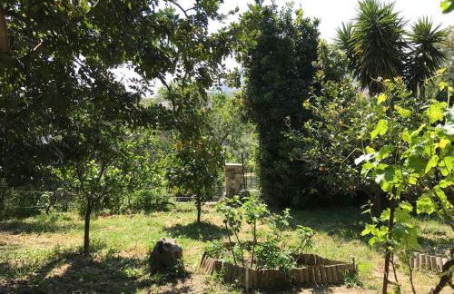 Πέτρινο Αρχοντικό, Χίος - Foto 43