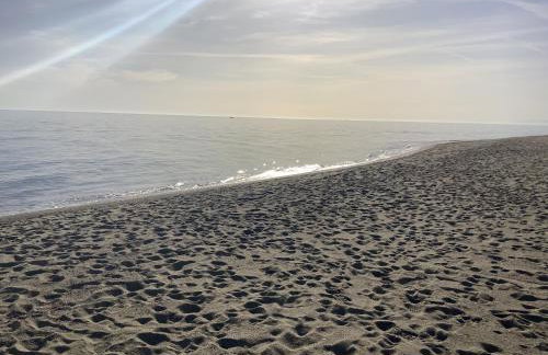 Appartement à La grande plage - Foto 33