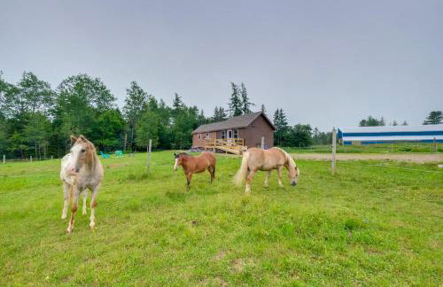 Historic Cottage on Horse Farm FirePit and BBQ - Photo 23
