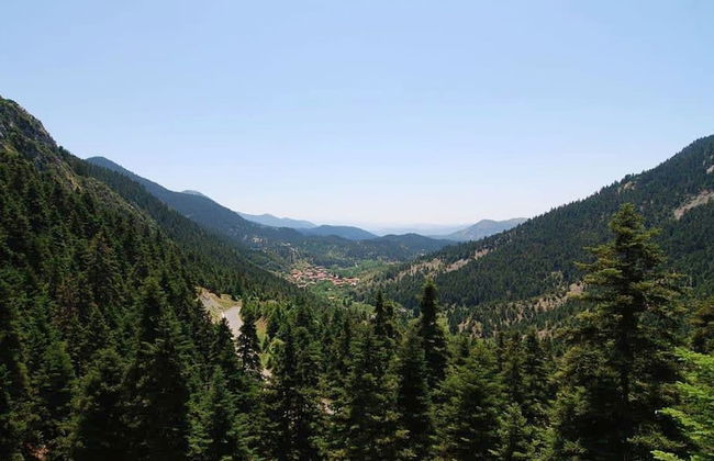 Stemnitsa Stone Residence - Comfy Mountain Getaway - Foto 24