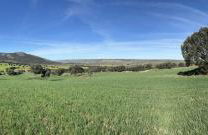 Casa Rural Mentesana - Foto 32