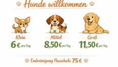 Komodiges Ferienhaus Küstennah - Foto 3