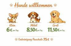 Komodiges Ferienhaus Küstennah - Foto 3