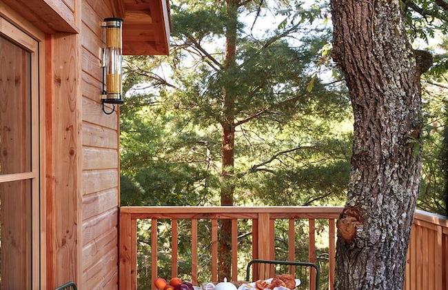 Château Léognan, Domaine viticole - proche Bordeaux - Foto 65