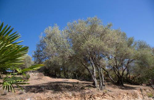 Appartements A Merendella - Foto 6