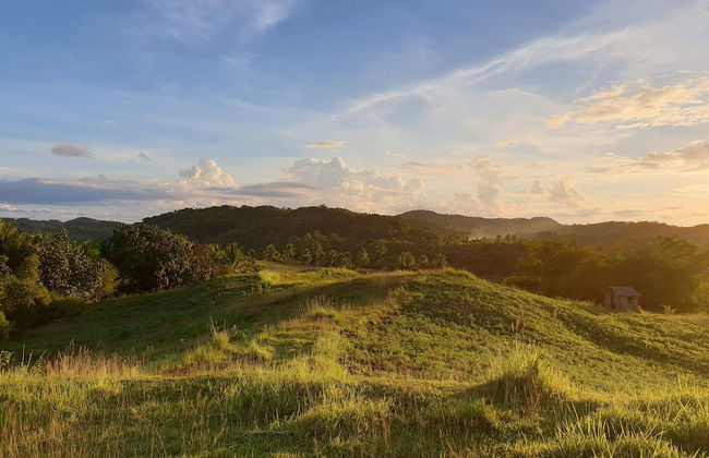 Mango Tree Siargao - Photo 79