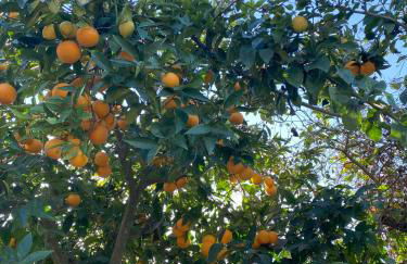 Villa Avril piscina privada y amplias terrazas - Photo 18