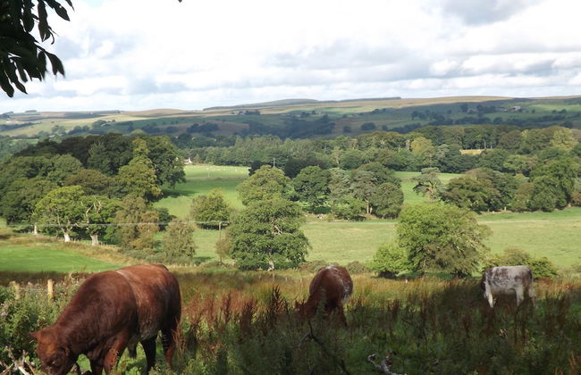 Hillis Close Farm - Foto 24