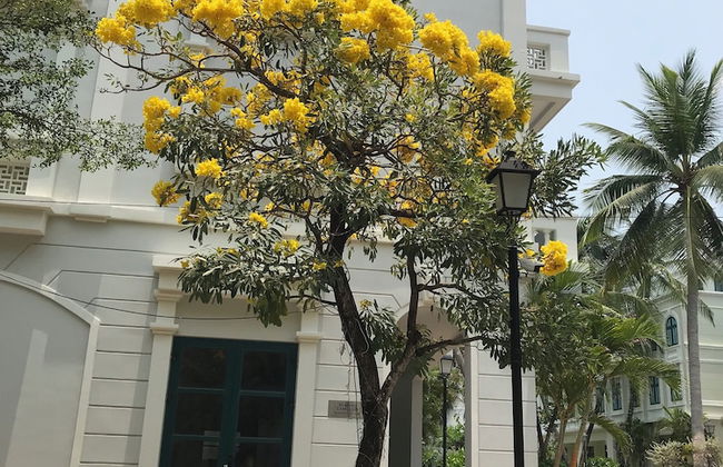 10 Bedroom Apartment 300m From The Sea - Foto 70