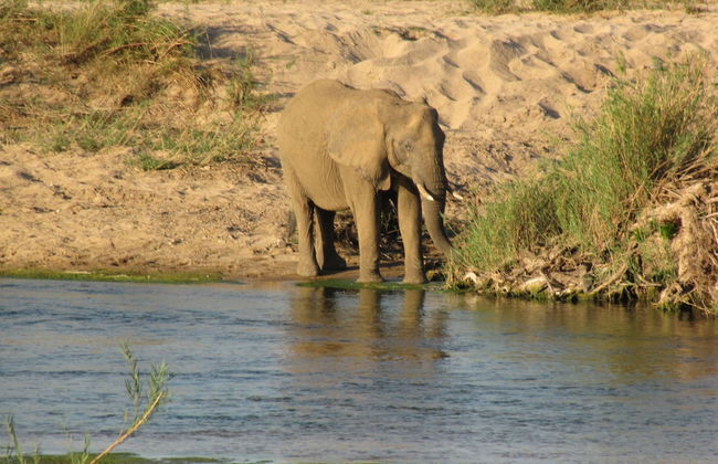 Umvangazi Rest - Enjoy a Relaxing, Rejuvenating and Peaceful Setting in the Bush - Foto 18