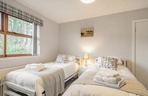 Rowan Muir - Foto 19