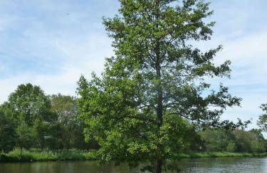 Ferienhaus Am Yachthafen - Pier 30, wunderschöne 2 Pers -Whg - Foto 8