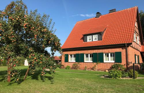 Ferienhaus-Eschede - Foto 17