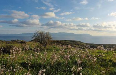 Hidden Retreats Kythera - Foto 44