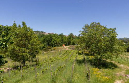 Agriturismo Locanda Nina - Foto 28