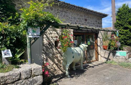 Les Fourniols - Foto 8