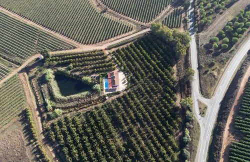 Monte do Pantaleão - Foto 21