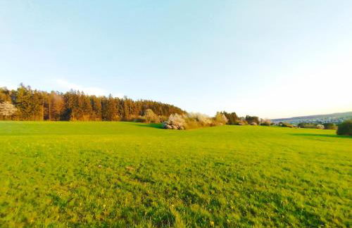 G&P Housing Apartments - Premium - Foto 27