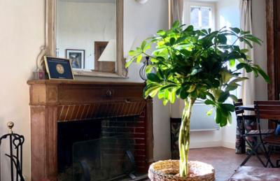 Coté-Serein La Privilège de la Tour Madame - Foto 9